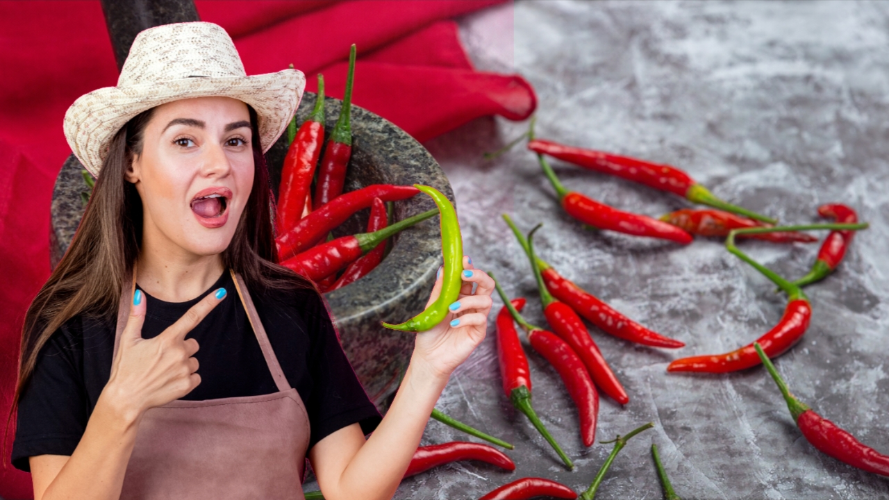 Tips rambut lebat secara alami dengan cabe rawit