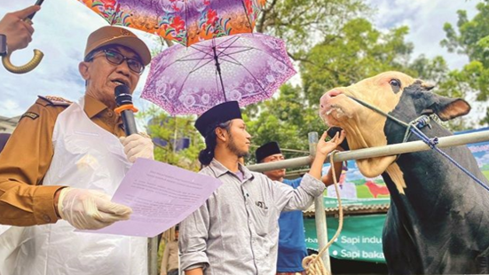 Pemkab Pamekasan Luncurkan Program “Ternak Kurban Sehat” Jelang Iduladha