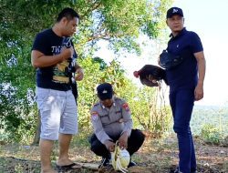 Polsek Sokobanah Gerebek Judi Sabung Ayam, Penjudi Kabur Tinggalkan Barang Bukti
