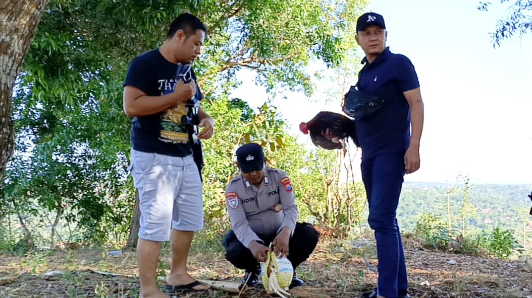 Polsek Sokobanah Gerebek Judi Sabung Ayam, Penjudi Kabur Tinggalkan Barang Bukti