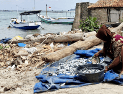 Harga Anjlok, 3,2 Ton Ikan Nelayan Masalembu Dibuang ke Laut