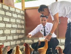 Panen Perdana Telur Ayam Kampung, Lapas Narkotika Pamekasan Wujudkan Dukungan terhadap Ketahanan Pangan Nasional