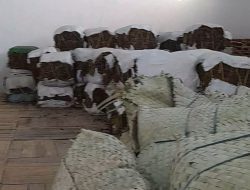 Serapan Tembakau Pamekasan 2025 Lampaui Target, Capai 30.748 Ton