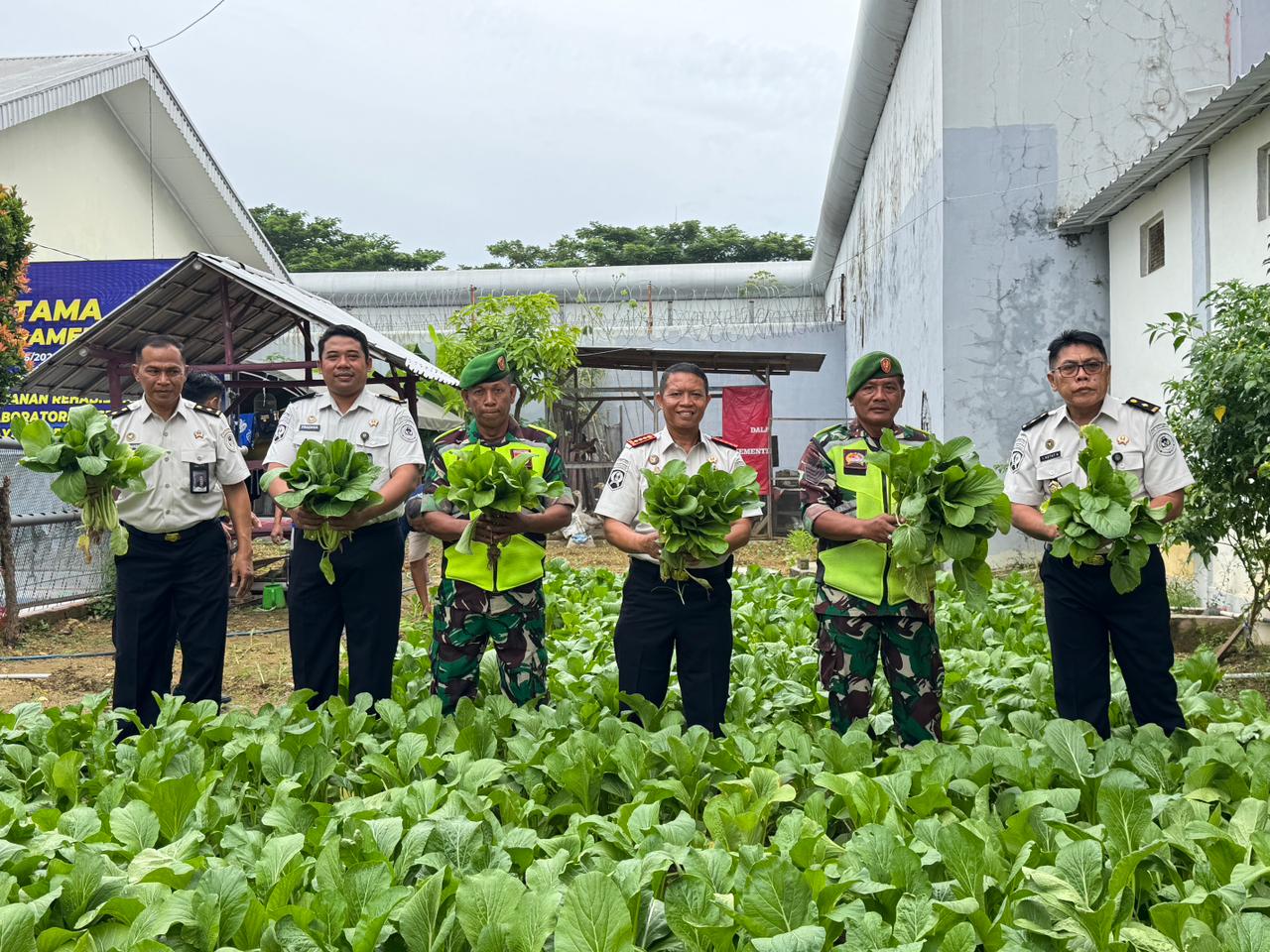 Lapas Narkotika Pamekasan Gelar Panen Raya Sawi dan Lele, Dukung Program Ketahanan Pangan