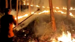 Kebakaran Lereng Gunung Sawe Hanguskan 1,5 Hektare Hutan dan Lahan Warga