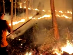 Kebakaran Lereng Gunung Sawe Hanguskan 1,5 Hektare Hutan dan Lahan Warga
