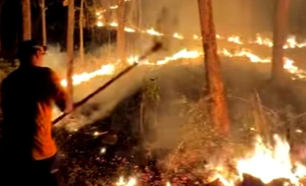 Kebakaran Lereng Gunung Sawe Hanguskan 1,5 Hektare Hutan dan Lahan Warga Sehilir