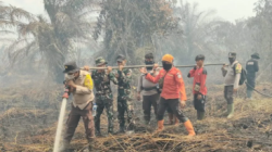 Tim Gabungan Padamkan Karhutla 12,5 Hektare di Dua Lokasi Bengkalis