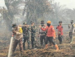 Tim Gabungan Padamkan Karhutla 12,5 Hektare di Dua Lokasi Bengkalis