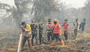 Tim Gabungan Padamkan Karhutla 12,5 Hektare di Dua Lokasi Bengkalis