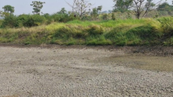 156 Waduk dan 115 Daerah Irigasi di Gresik Mulai Mengering