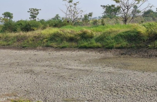 156 Waduk dan 115 Daerah Irigasi di Gresik Mulai Mengering